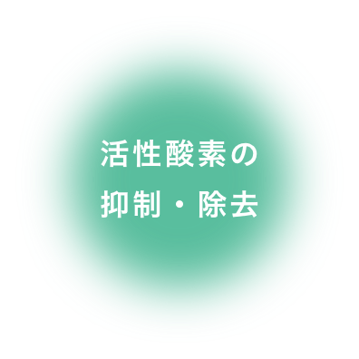 活性酸素の抑制・除去