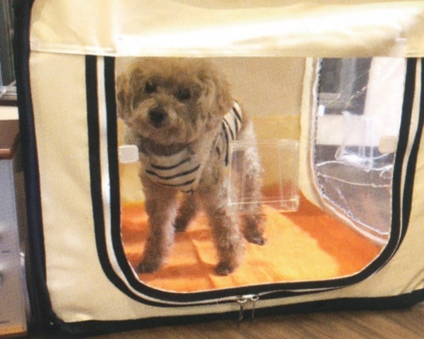 ご利用イメージ